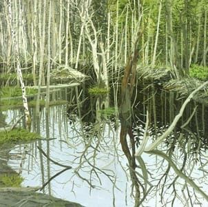 Artwork Title: Breached Beaver Dam