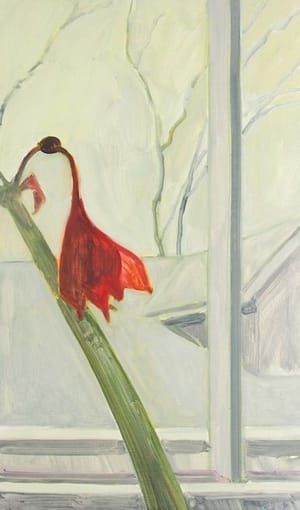 Artwork Title: Fading Amaryllis