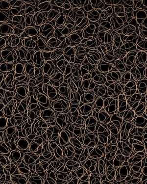 Artwork Title: Rubber Bands