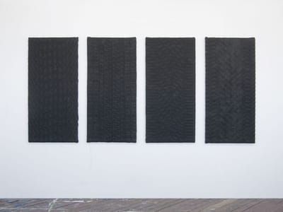 Artwork Title: Extinction Infographics as Tread Patterns