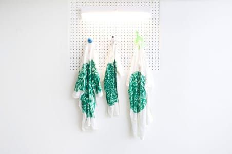 Artwork Title: Rainforest T’s