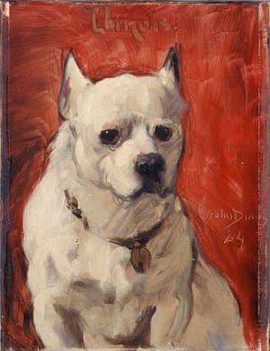 Artwork Title: The dog 