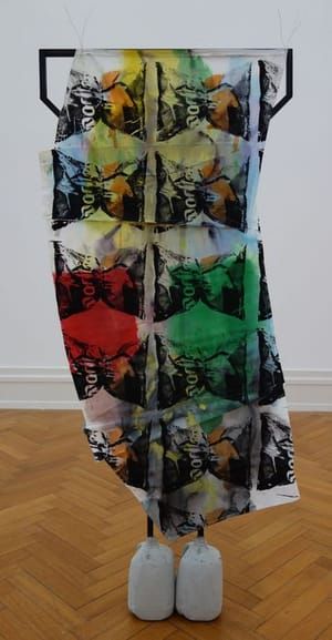 Artwork Title: untitled Shroud