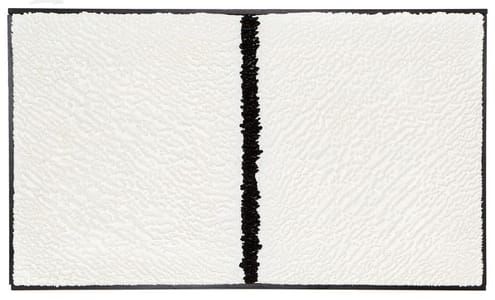 Artwork Title: Distinction between One Color