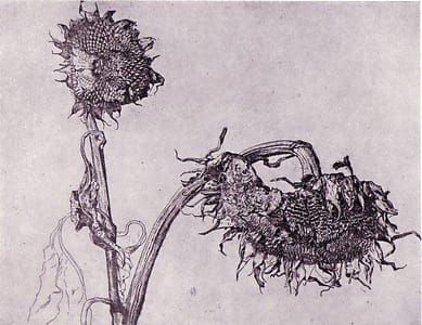 Artwork Title: Zonnebloemen