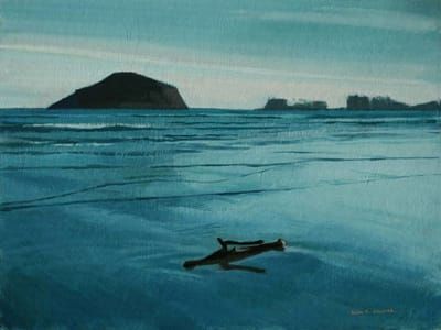 Artwork Title: Long Beach North B.C. Pacific Rim National Park