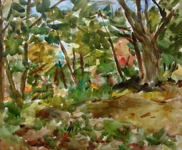 Artwork Title: Edge of the Forest