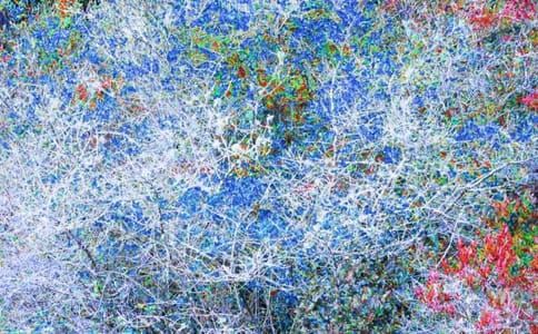 Artwork Title: Gravity 22