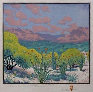 Artwork Title: Palo Verde and Ocotea