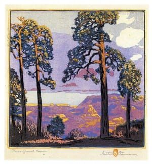 Artwork Title: Pines Grand Canyon