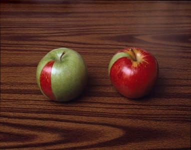 Artwork Title: Apples