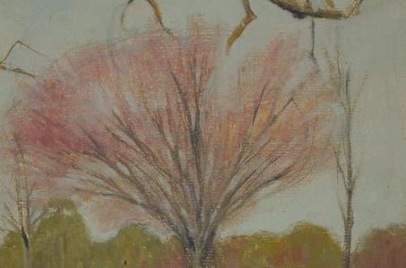 Artwork Title: Cherry Blossoms