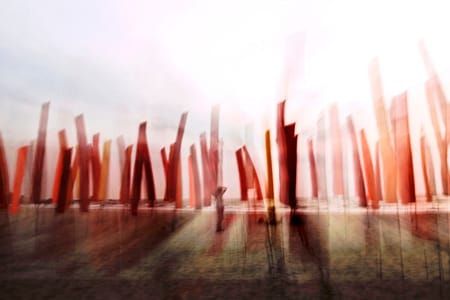 Artwork Title: Drapeau I
