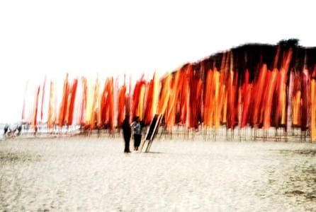 Artwork Title: Drapeau VII