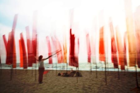 Artwork Title: Drapeau V