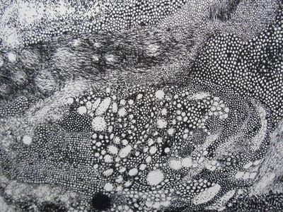 Artwork Title: Untitled