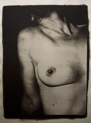 Artwork Title: Untitled