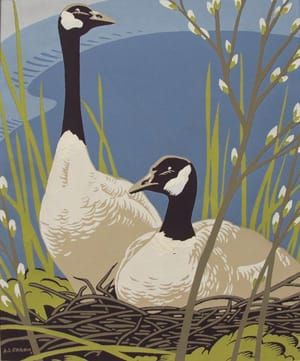 Artwork Title: Canadian Geese