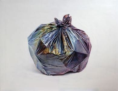 Artwork Title: Bin Bag