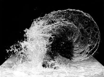 Artwork Title: Fibonacci