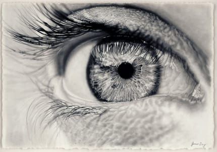 Artwork Title: Expectation