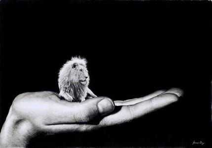 Artwork Title: Hand Of Gaia
