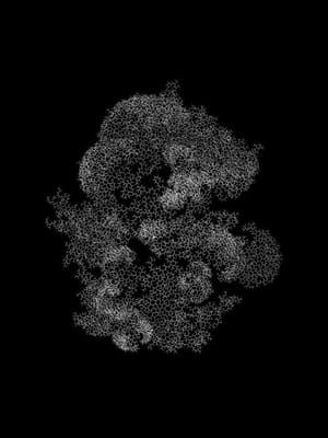 Artwork Title: Lifes n°5