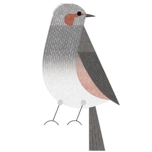 Artwork Title: Brown-Eared Bulbul
