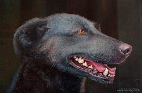 Artwork Title: Mother-in-Law's Hound