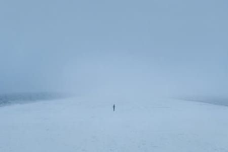 Artwork Title: Untitled