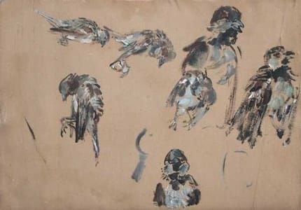 Artwork Title: Sparrow Study