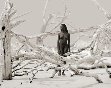 Artwork Title: Untitled