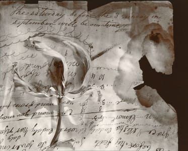 Artwork Title: Untitled