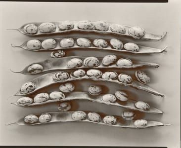 Artwork Title: Untitled