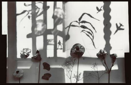 Artwork Title: Untitled