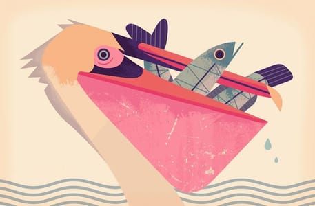 Artwork Title: Pelican Has Had Her Fill