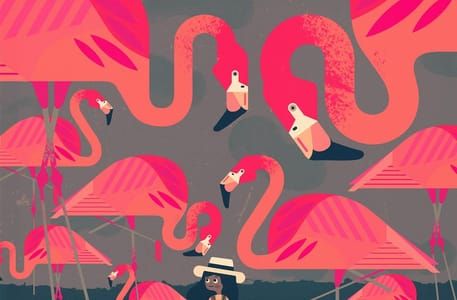 Artwork Title: Flamingo Rests on Just One Leg