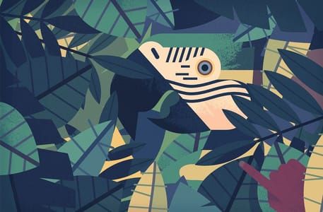 Artwork Title: Parrot Tries Her Best to Hide