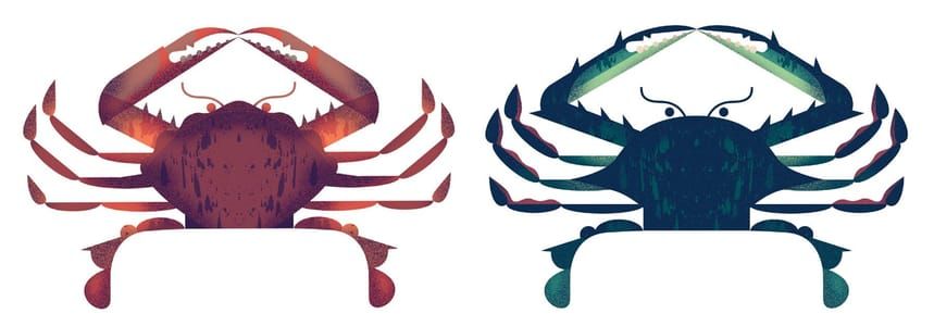 Artwork Title: Crabs