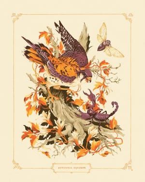 Artwork Title: Autumnal Equinox (Libra, Scorpio, Sagittarius)