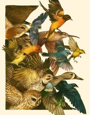 Artwork Title: Safe Flight: 100 Years of Protecting Birds