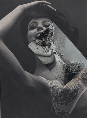 Artwork Title: Untitled