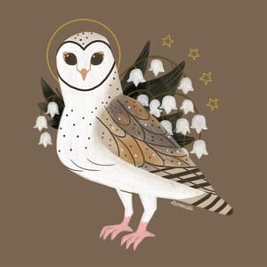 Artwork Title: Familiar | Barn Owl