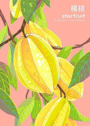 Artwork Title: Starfruit