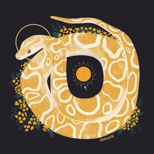 Artwork Title: Familiar | Burmese Python
