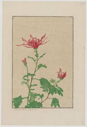 Artwork Title: Pink Chrysanthemum