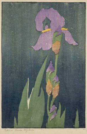 Artwork Title: Iris