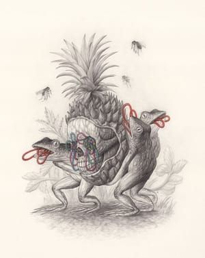 Artwork Title: The Pineapple