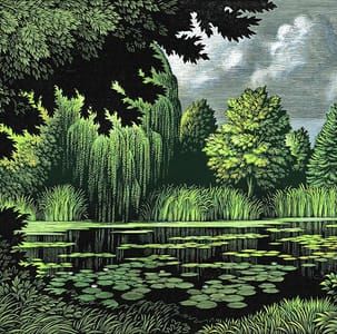 Artwork Title: Frog Pond for Mahogany, TBWA