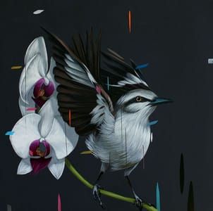 Artwork Title: Showoff